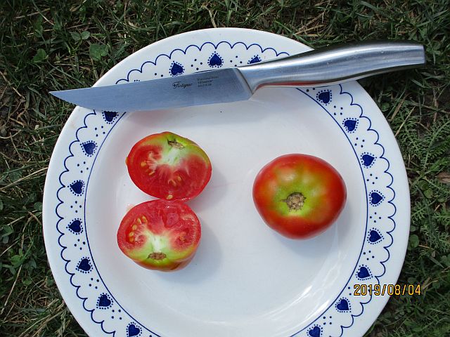 Ungarische RAF Tomate, teuerste Tomate der Welt, alte Gemüsesorten, samenfest von unserer Farm