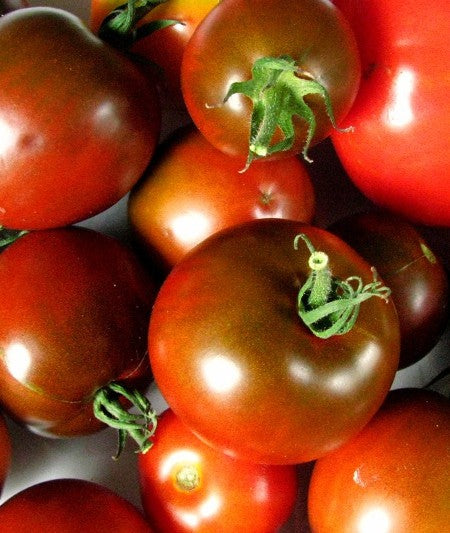 Ungarische Samen Tomate "Black Krim"alte russische Sorte, samenfest