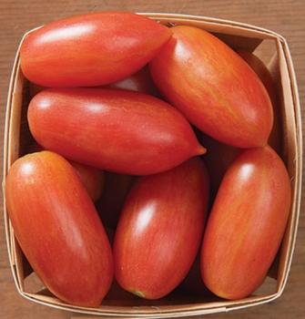 Pinker Tiger, Artisan Tomate, Flaschentomaten, 20 Samen samenfest, Bio tomatensamen, saatgut, alte gemüsesorten, tomatensamen kaufen