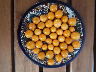 Aguaymanto, very large Cape gooseberry, for cooler temperatures, 10 seeds