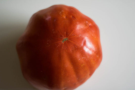 Ungarische Samen Tomate "GROSSE SIEBENBÜRGER", bis 1 Kilo viel Ertrag, organisch