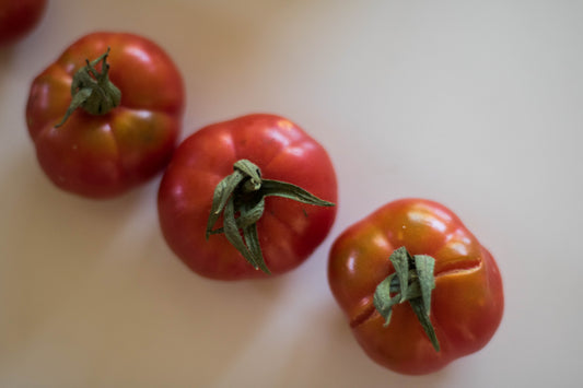 Ungarische Samen Tomate "Zahnrad", gerippte Sorte, frühreif, samenfest, alte Gemüsesorten, Tomatensamen kaufen