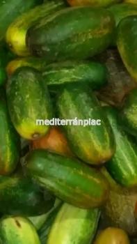 Hungarian juicy large cucumber, 10 seeds