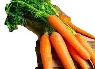 Hungarian early ripe carrot "Danvers", 500 seeds, seed proof from our farm