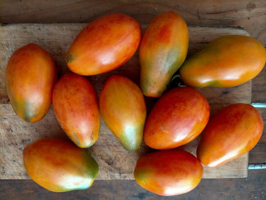 Old pear tomato, rare old variety from Hungary, seed-stable