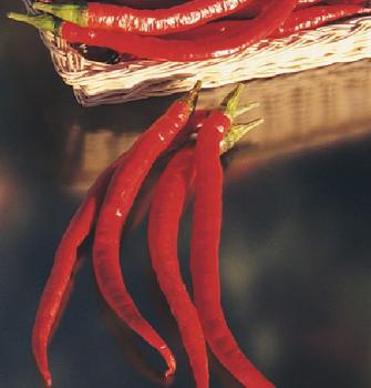 Lange Cayenne, Paprika mittlerer Stärke, Essen ohne Umzufallen, samenfest