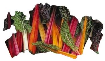 Chard Rainbow MIX, 50 seeds, seed proof from our farm