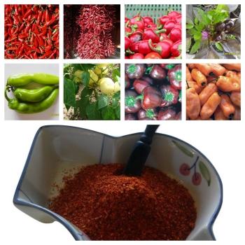 Ungarische Paprika:10 Sorten PLUS (100g=8,98€)50g scharfes KALÓZ Paprikapulver