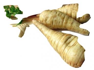 Hungarian Parsnips 200 seeds, seed proof from our farm