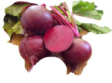 Hungarian large beetroot (Bordó), 100 seeds, seed-proof from our farm